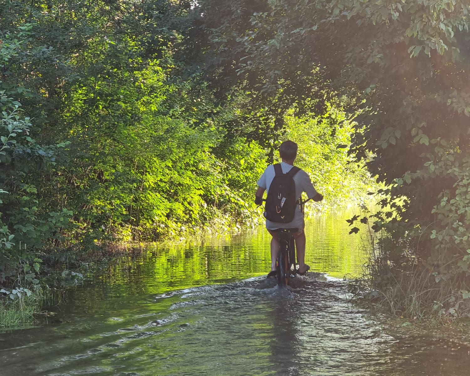 Martin Schaufelberger