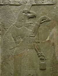 Roman Šittenhelm