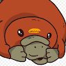 PlatypiGuy