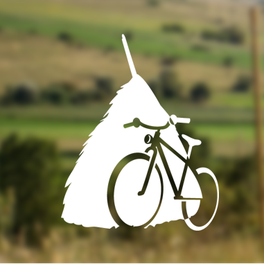 Transylvania Cycling guest