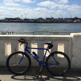 Trek950