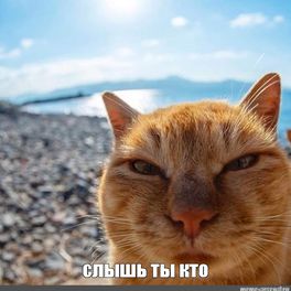 Владік