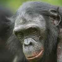 Ronald De'Garua
