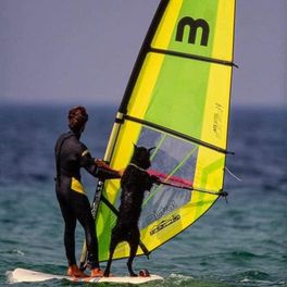 Carlos Peres