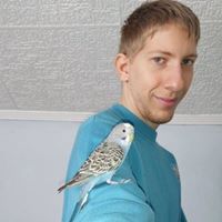 Gergely Kovács