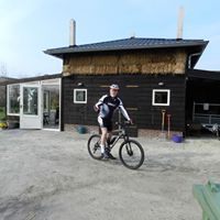 Henny van Soest