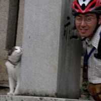 岡田 洋