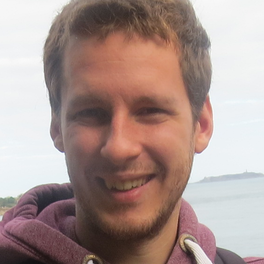 Henry-Nicolas Tourneur