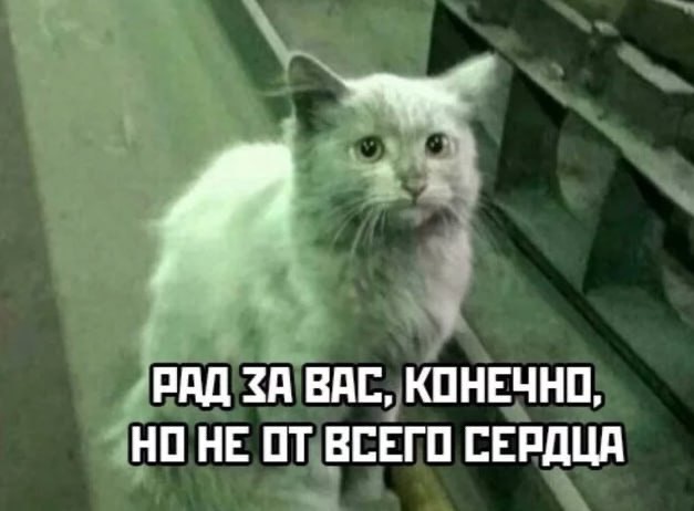Vlad