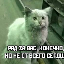 Vlad