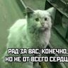 Vlad