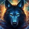 coyote wilds outdoors adventures