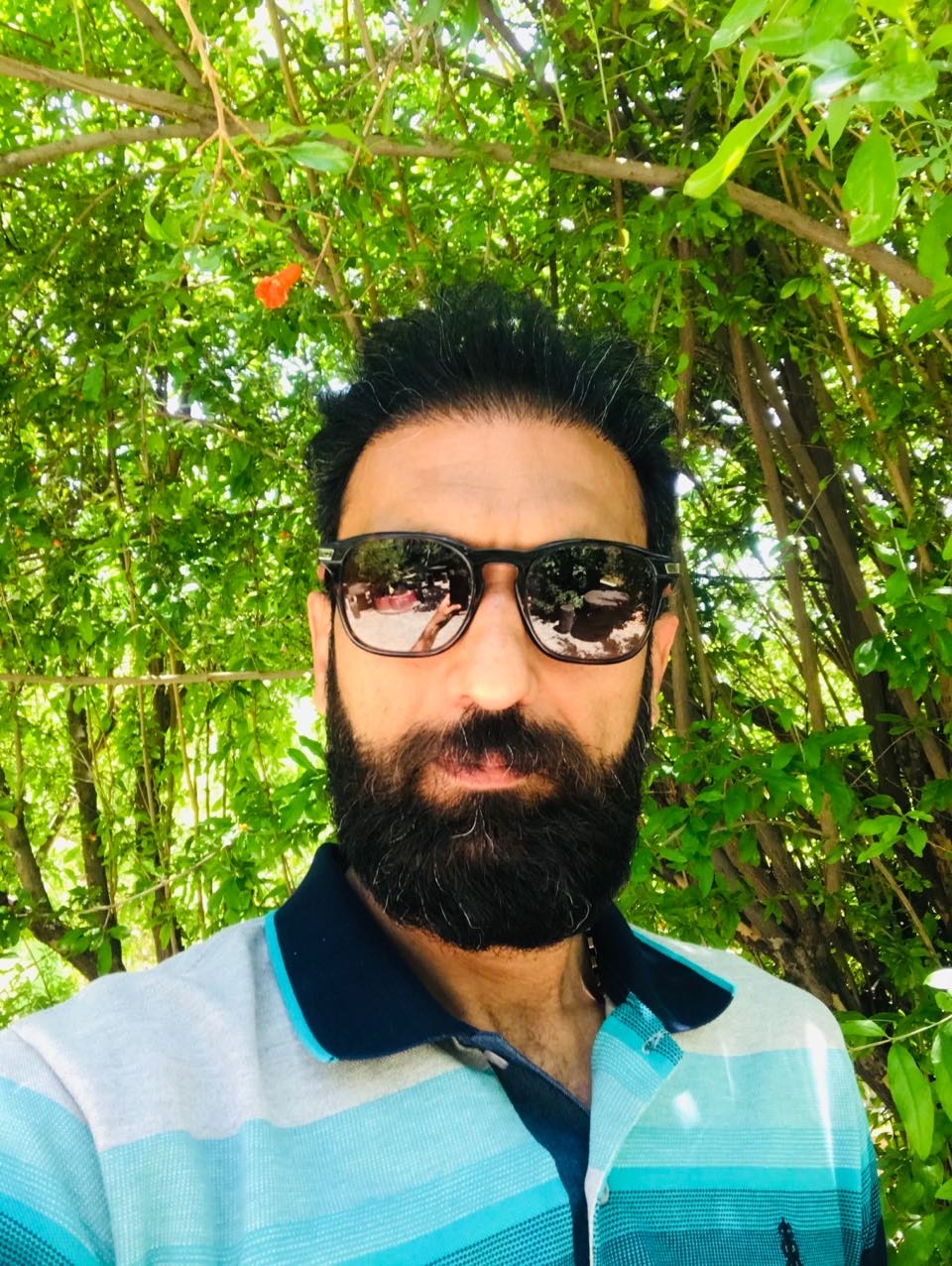 Alireza Najafi