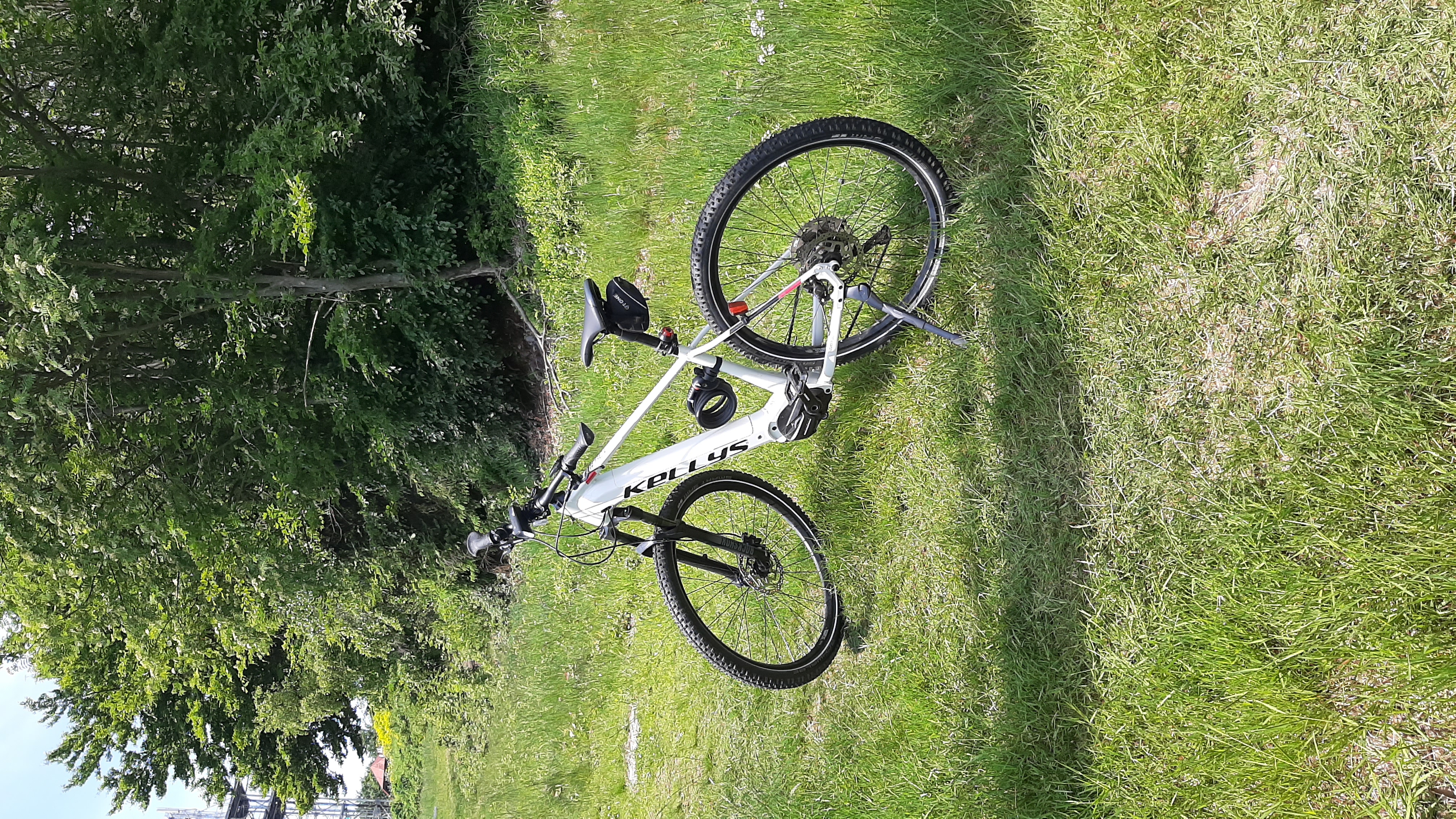 Friedemann, Silke