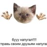 Анастасия Блинова