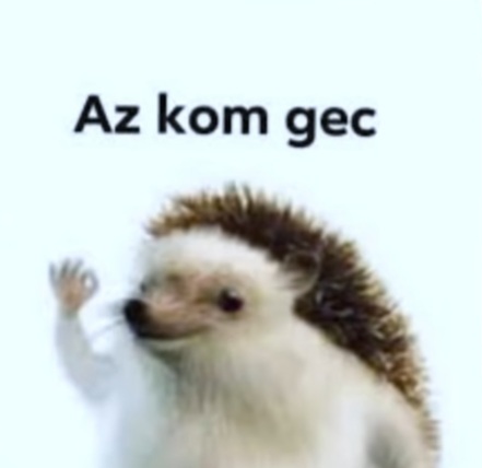 Bikfalvi Barnabás