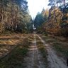 Данил Горкавцев