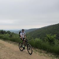 Stefan Prisca