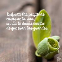 Patricia Andrea
