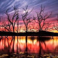 Christopher Battistuzzi