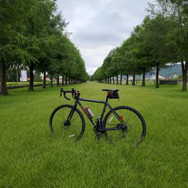 Vito 66