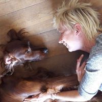 Niki Vanderelst