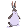 Todd “Big chungus” Stewart