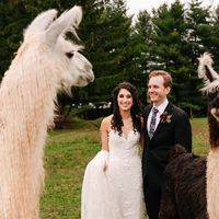 Melanie Shapiro-Behrens