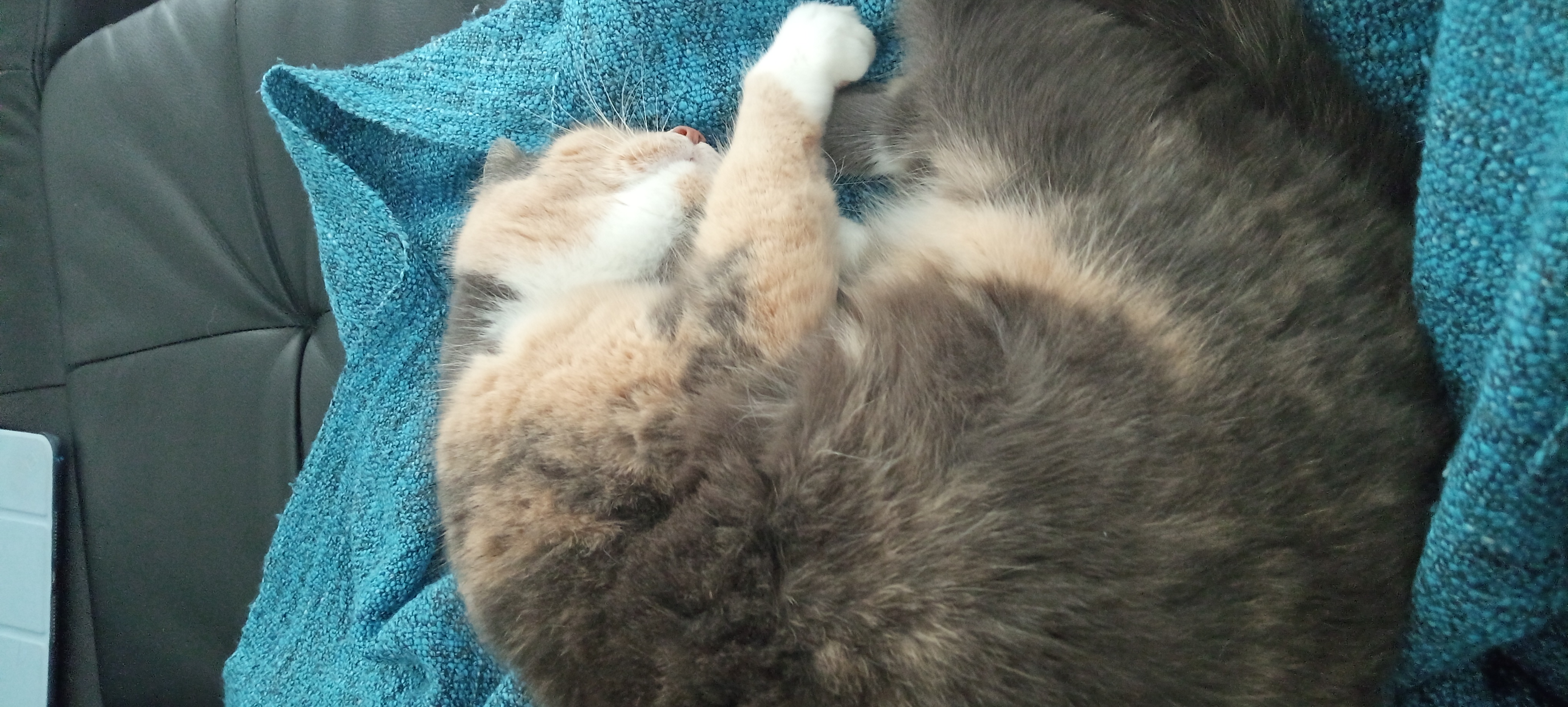 Sarah 