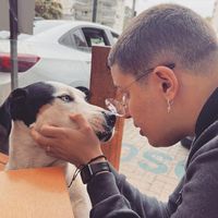 Victor Martellacci Vilas Boas Maciel