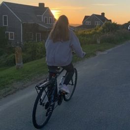Elisa