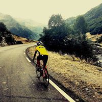 Imanol Gomez de Segura