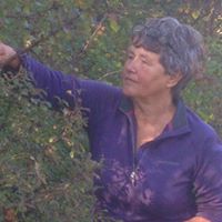 Gunilla Stenberg