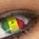 lamine faye