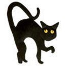 schrodkatz