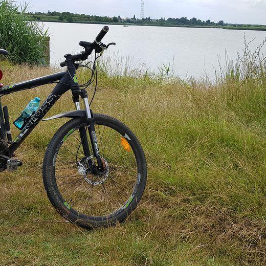 mihaidanciulescu7511