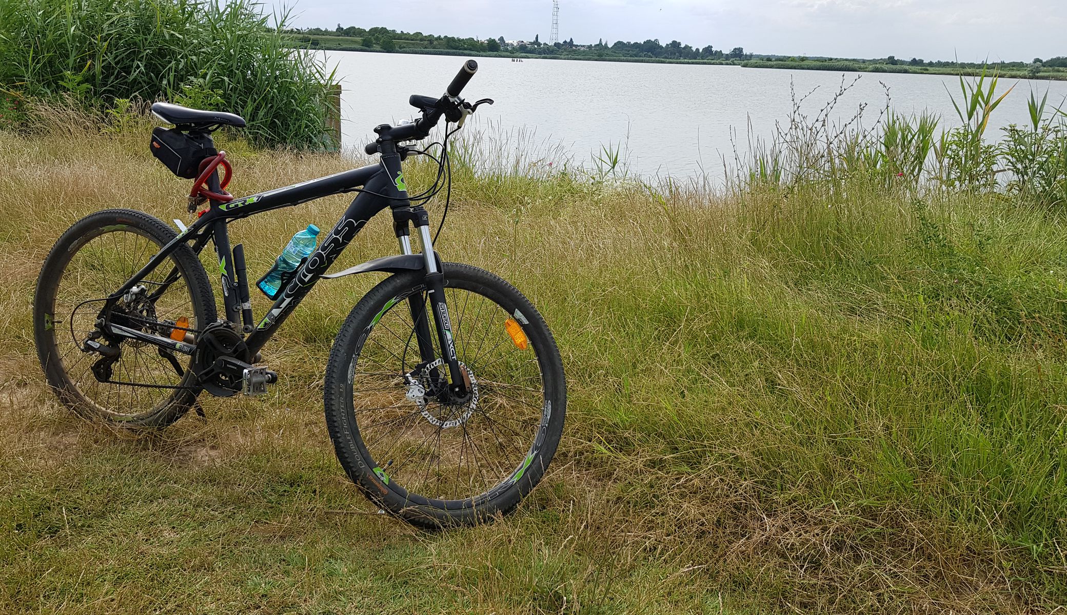 mihaidanciulescu7511