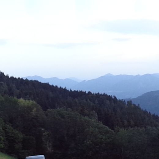 alfred.janesch@aon.at