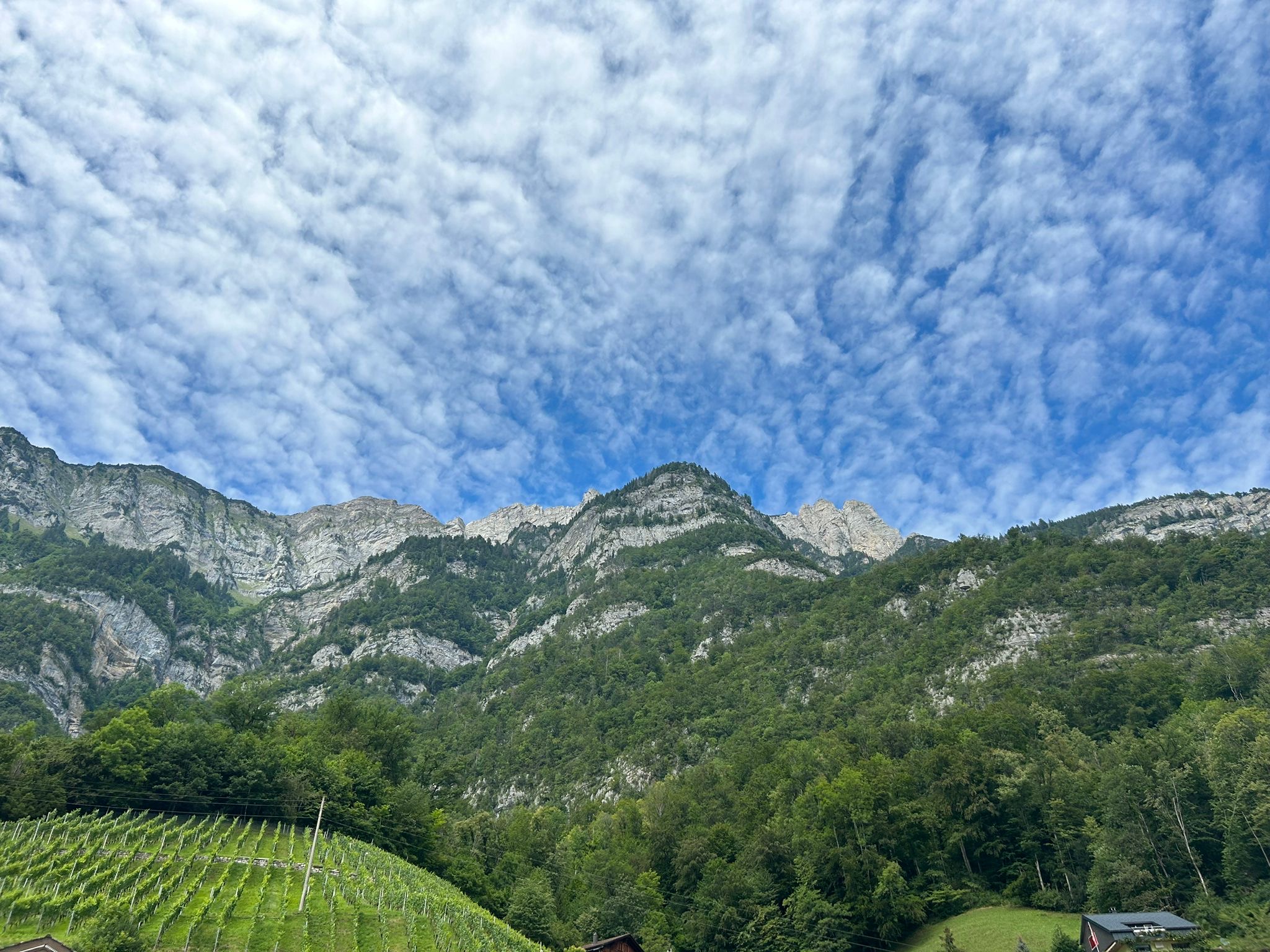 bikemapuser1994250976009759