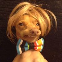 Tomas Tache
