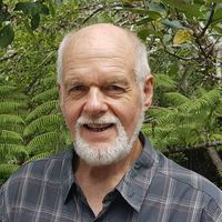 John Bain