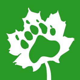 Cycling Thread