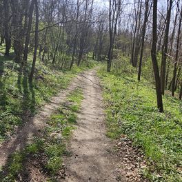 Slocetung
