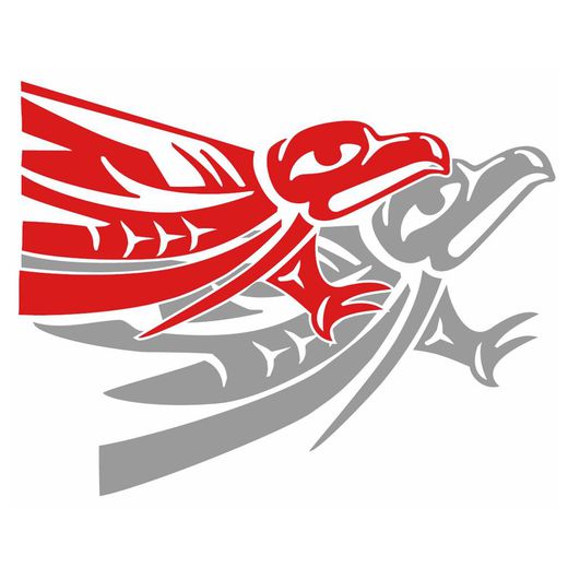 team-naunheim SPORT e.V.