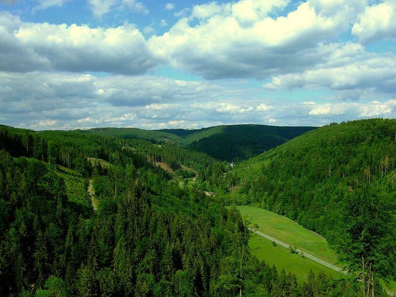 Im Frankenwald