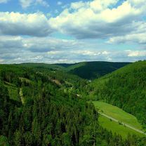 Im Frankenwald