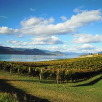 Naramata Routes