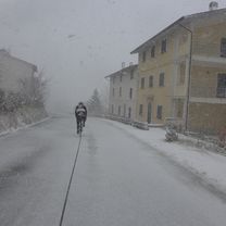 2017 Wien_Roma