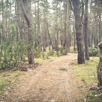 MTB Łomianki