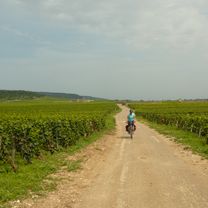 2011 Burgund